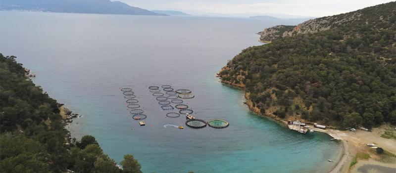 fish farm on Poros fish farm on Poros
