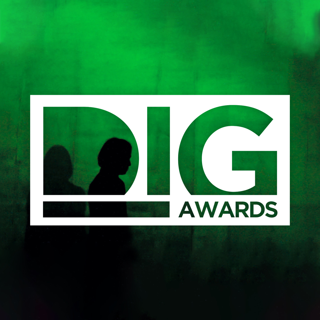 DIG Awards