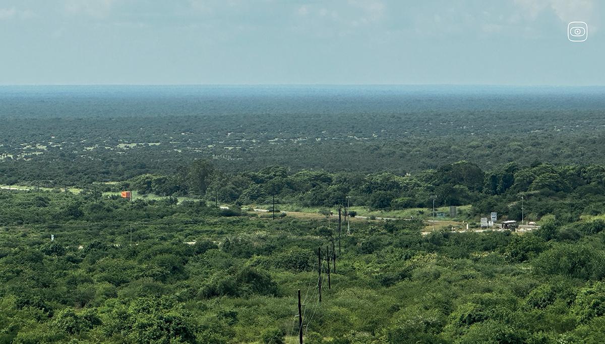 A landscape view of land located in Buliisa Sub-county, Buliisa District, Uganda, where oil drilling activities are taking place