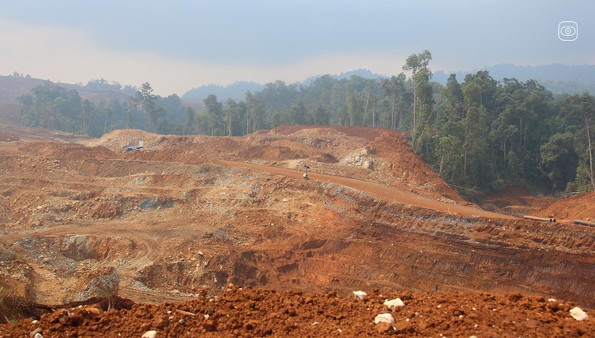 Bankers and Carmakers Profit from Deforestation Fuelled by Electric Vehicles