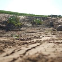 A dry field in Brandenburg Germany_ Credits_Antonia Gross