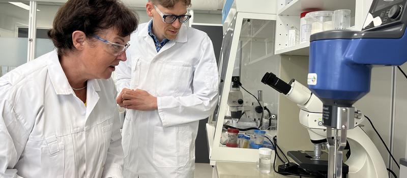 scientists checking asbestos contents in the lab scientists checking asbestos contents in the lab. a woman and a man wearing glasses
