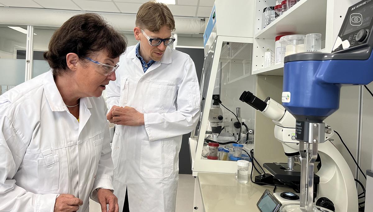 scientists checking asbestos contents in the lab. a woman and a man wearing glasses