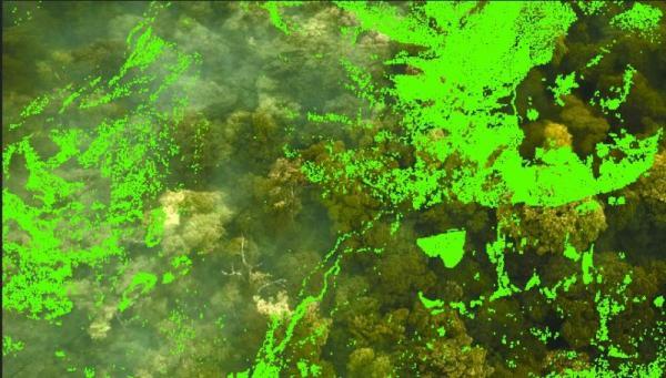 Green investigations, training on climate journalism