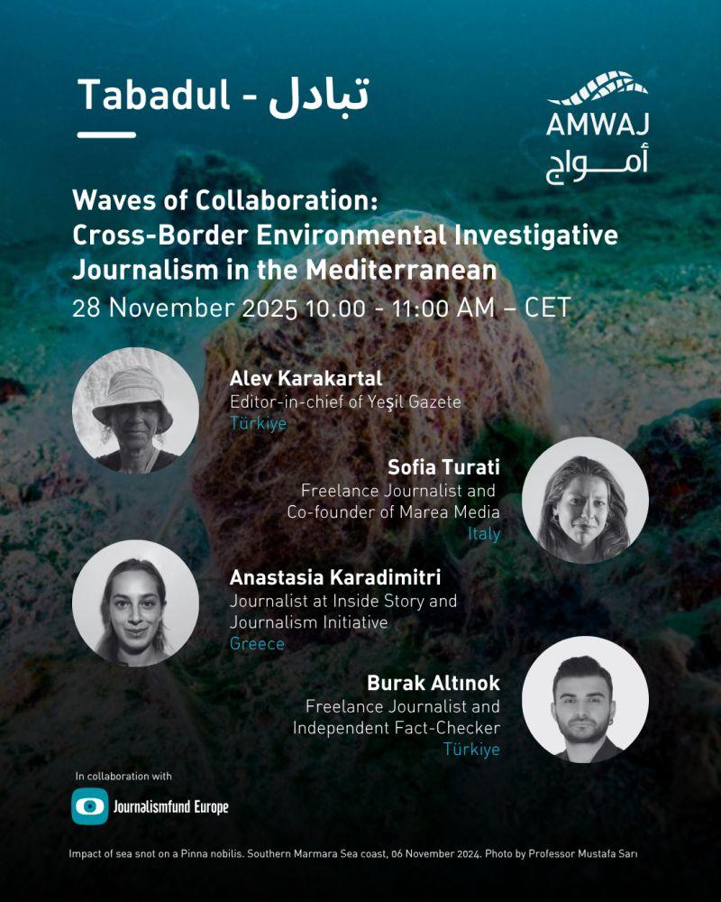 Amwaj: Waves of collaboration promotion poster