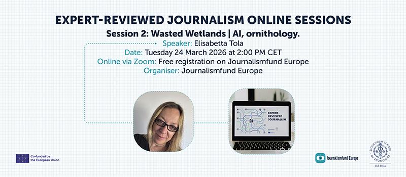 Wasted Wetlands: Online Session 2