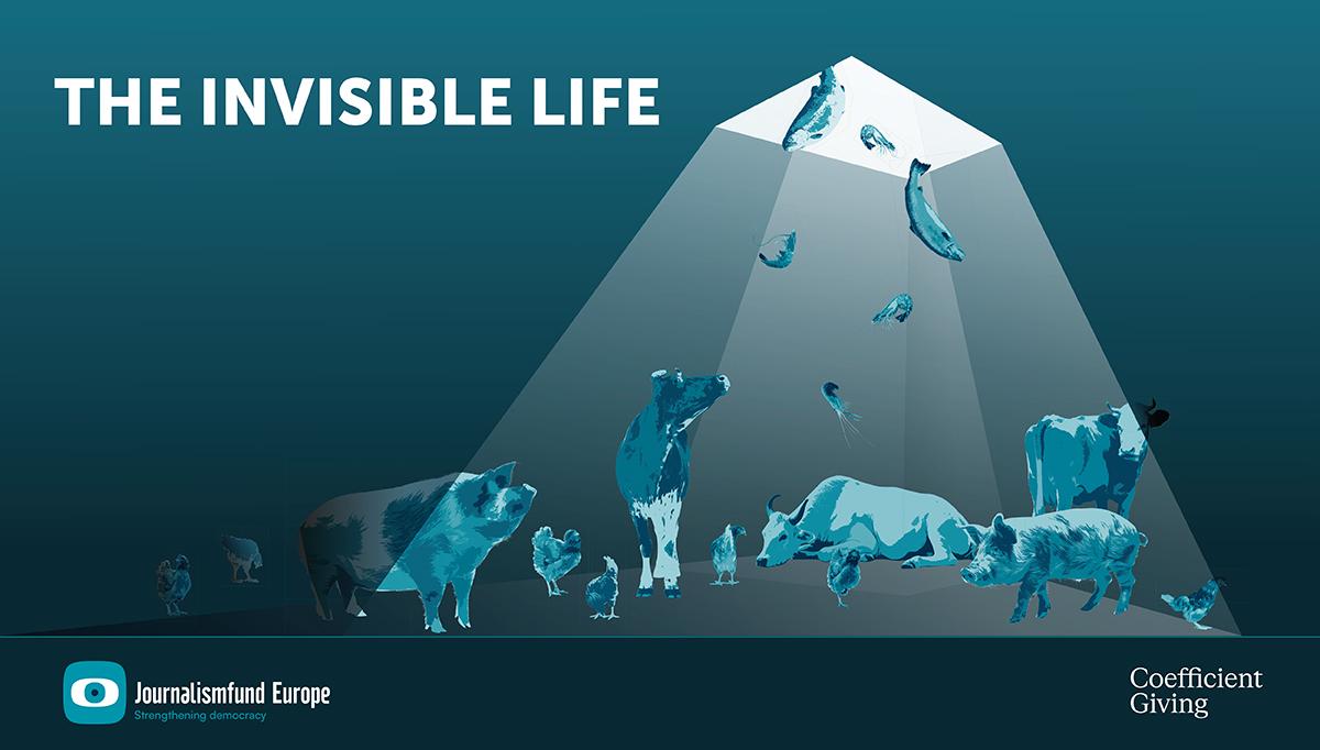 The Invisible Life