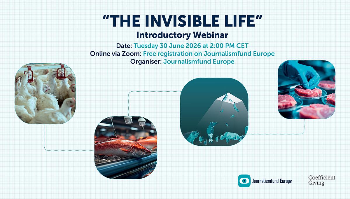 The Invisible Life Webinar