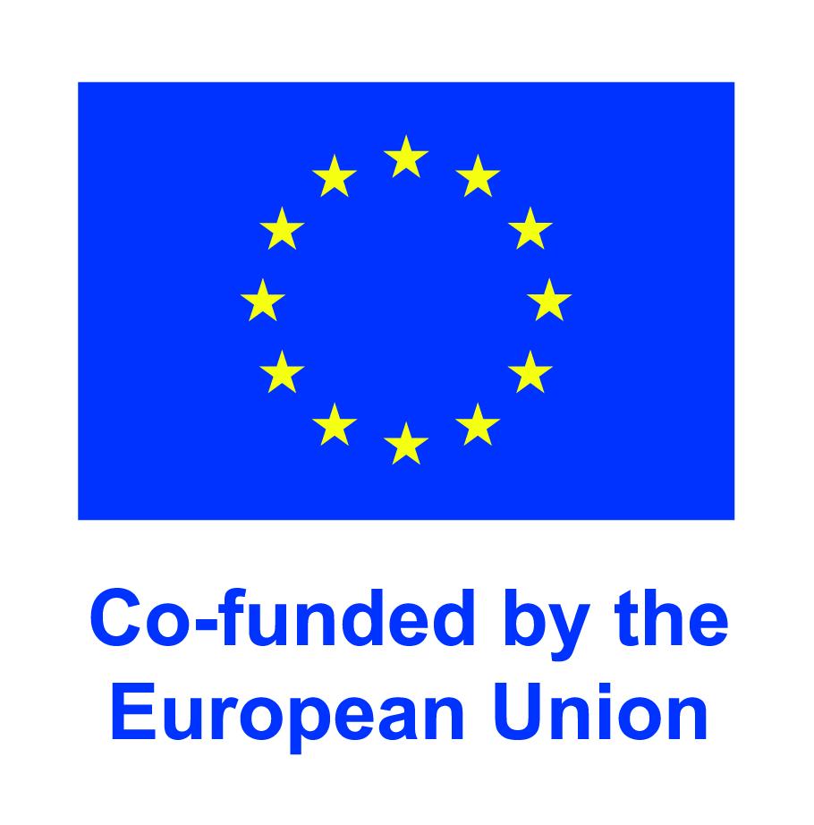 Co-funded by the EU