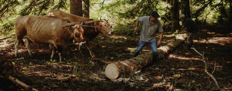 Photos taken by Julien Pebrel