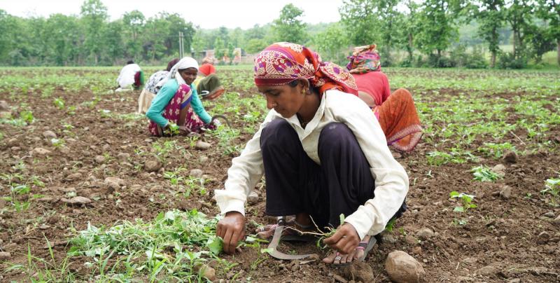 Women working on the field