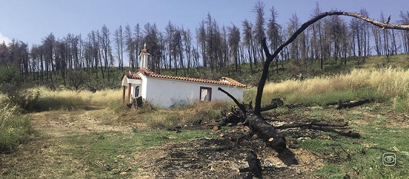 Rea Nefeli Tzanetakou