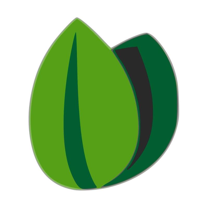 Associação InfoAmazonia