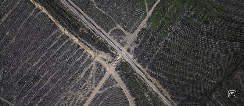 Aerial view of burned fields