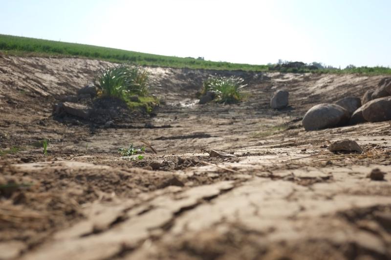 A dry field in Brandenburg Germany_ Credits_Antonia Gross