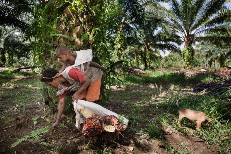 Photo by Albertus Vembrianto.