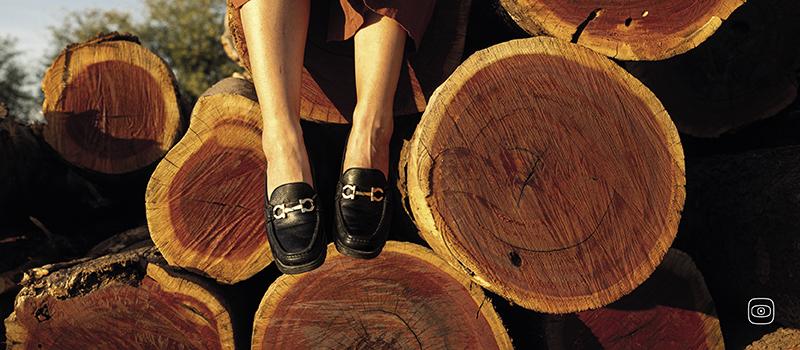 round sides of wood trunks, with fancy leather shoes 