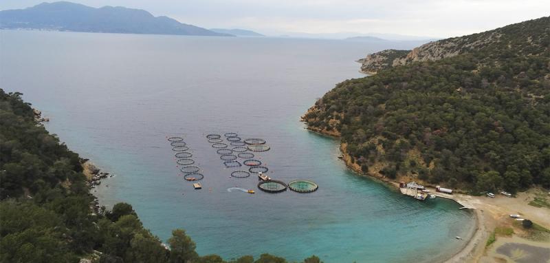 A drone view of a fish farm in a bay on Poros island