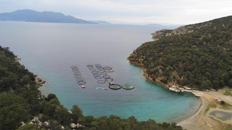 A drone view of a fish farm in a bay on Poros island