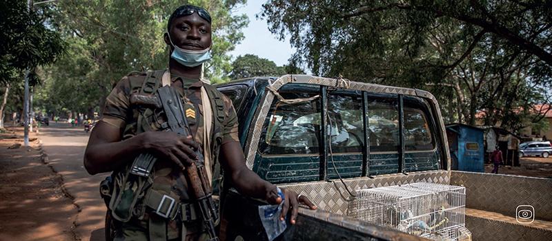Exotic birds arte trafficked from Guinea in the the EU