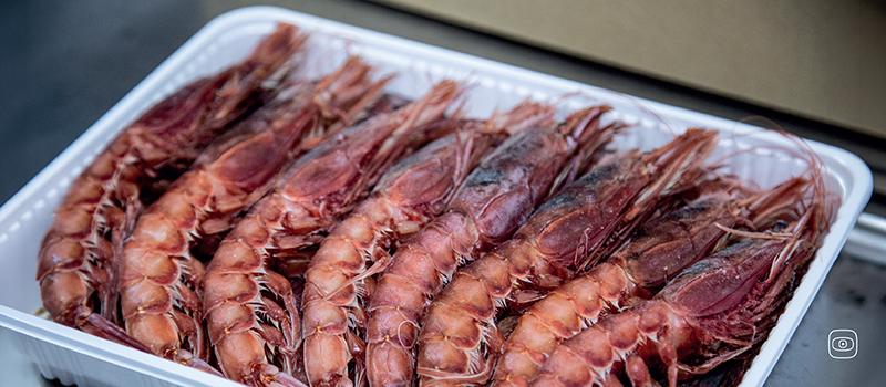  Port Said, Egypt, 2025. A tray of top-quality frozen red shrimps for export to Europe from the King Fish factory 