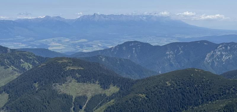 Landscape