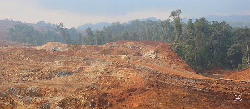 Bankers and Carmakers Profit from Deforestation Fuelled by Electric Vehicles