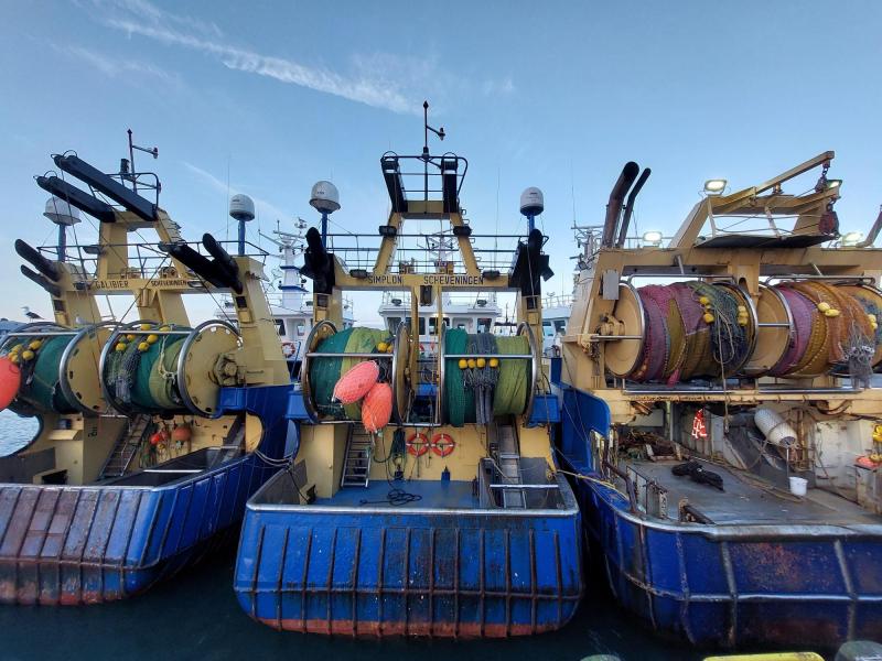 Wordt de zee leeggeplunderd?