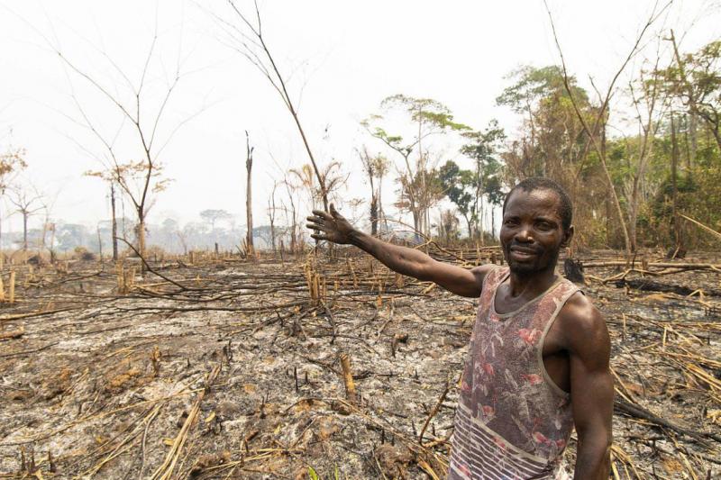 De bossen van Congo