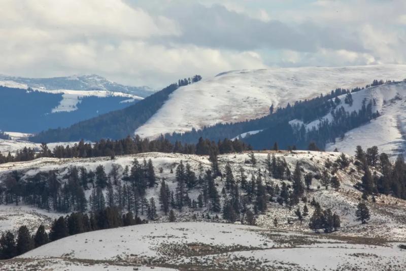 Yellowstone National Park
