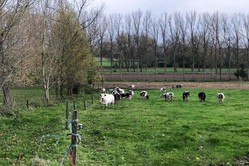 Een stikstofbom onder Vlaanderen