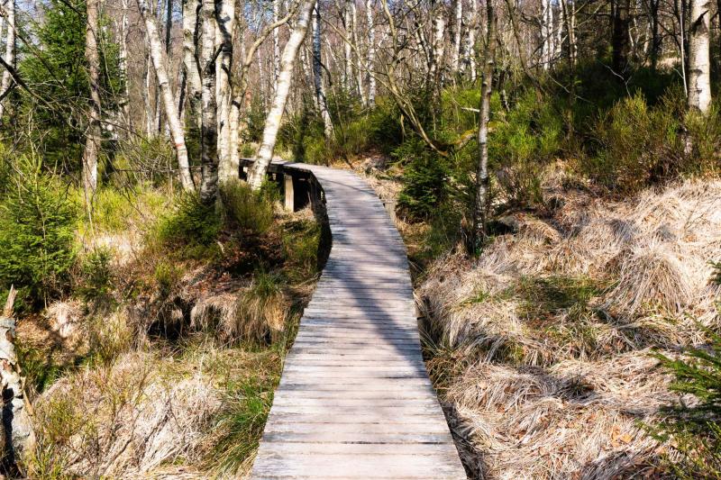 De impact van zelfdoding