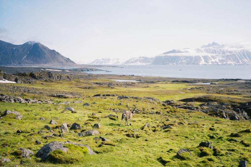 Svalbard
