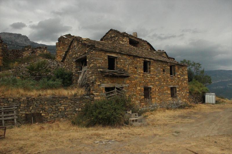 Puyuelo