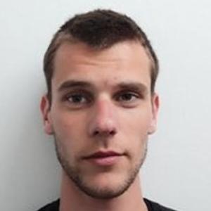 Hrvoje Perica
