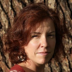 Sofia da Palma Rodrigues