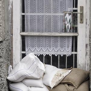 Adapting or Failing?