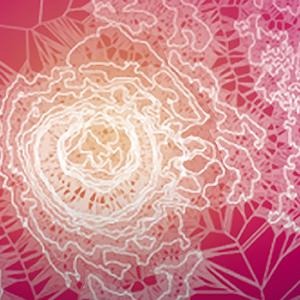 SWI swissinfo.ch/ Marcus Center for Cellular Cures