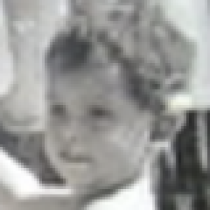 Bart Van Bael