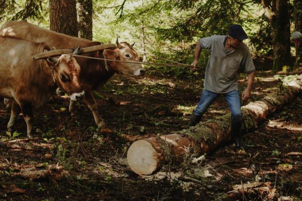 Photos taken by Julien Pebrel