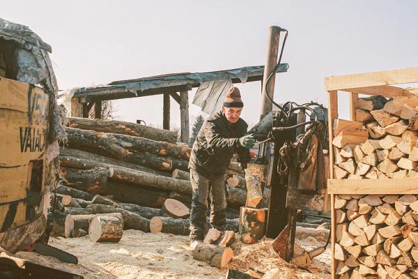 illegal deforestation balkans