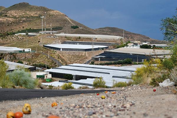 Claudia Colliva & Giada Santana