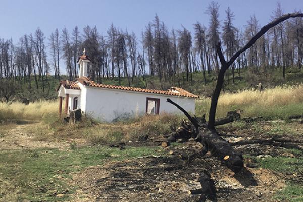 Rea Nefeli Tzanetakou