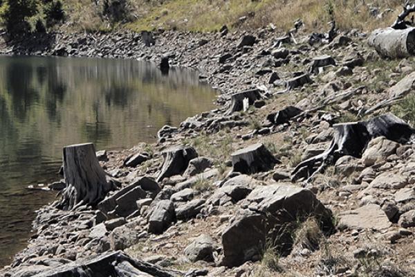 Deforestation in Albania and hydropower in Macedonia 