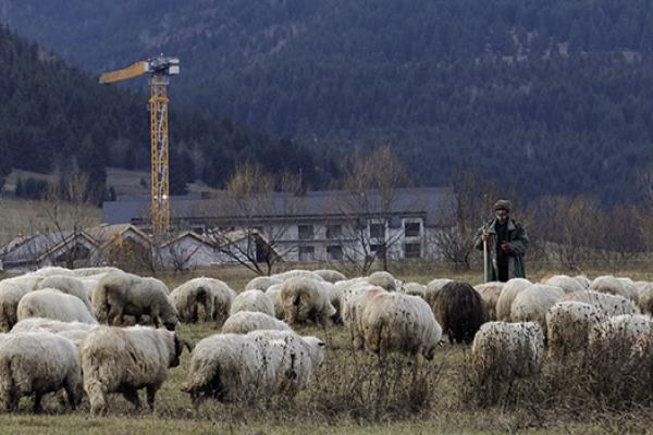 Helga Toth / Transtelex