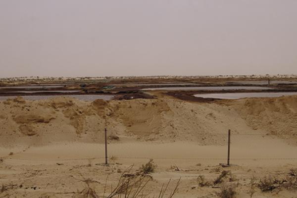 Tunisia Serinus impact