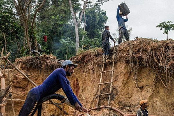 Suriname French Guyana gold mines
