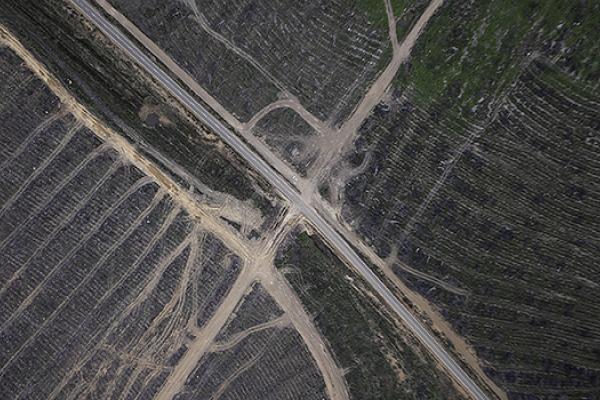 Aerial view of burned fields