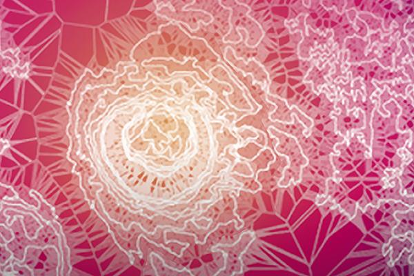 SWI swissinfo.ch/ Marcus Center for Cellular Cures