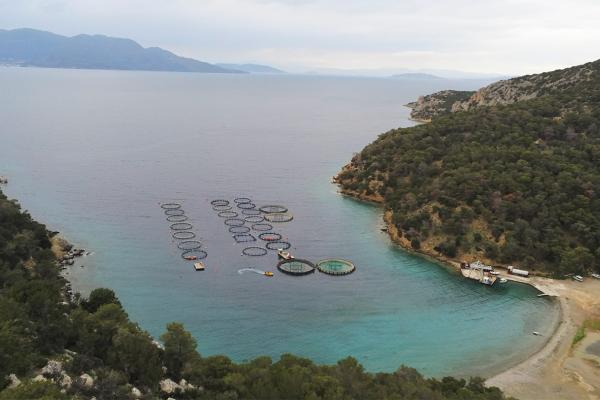 fish farm on Poros